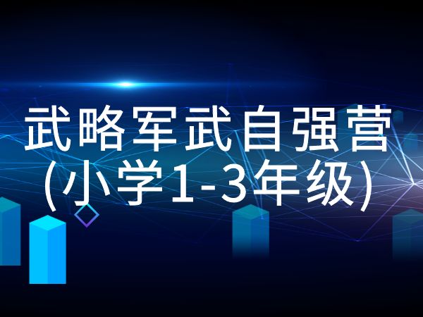 武略军武自强营(小学1-3年级)