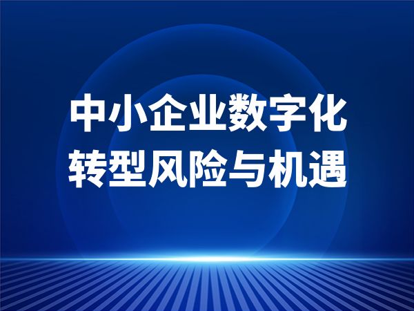 中小企业数字化转型风险与机遇
