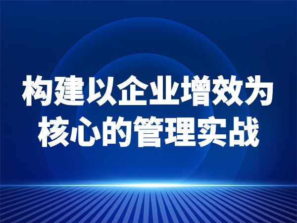 构建以企业增效为核心的管理实战