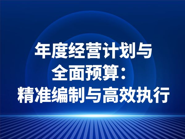 年度经营计划与全面预算：精准编制与高效执行