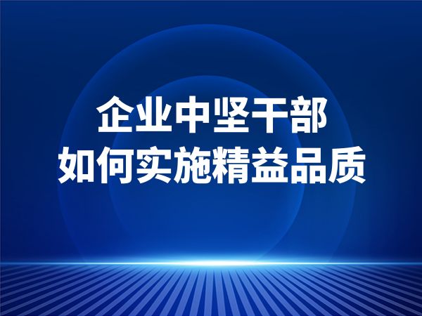 企业中坚干部如何实施精益品质